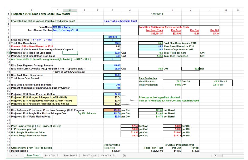 Rice Cash Flow Fig 1JPG
